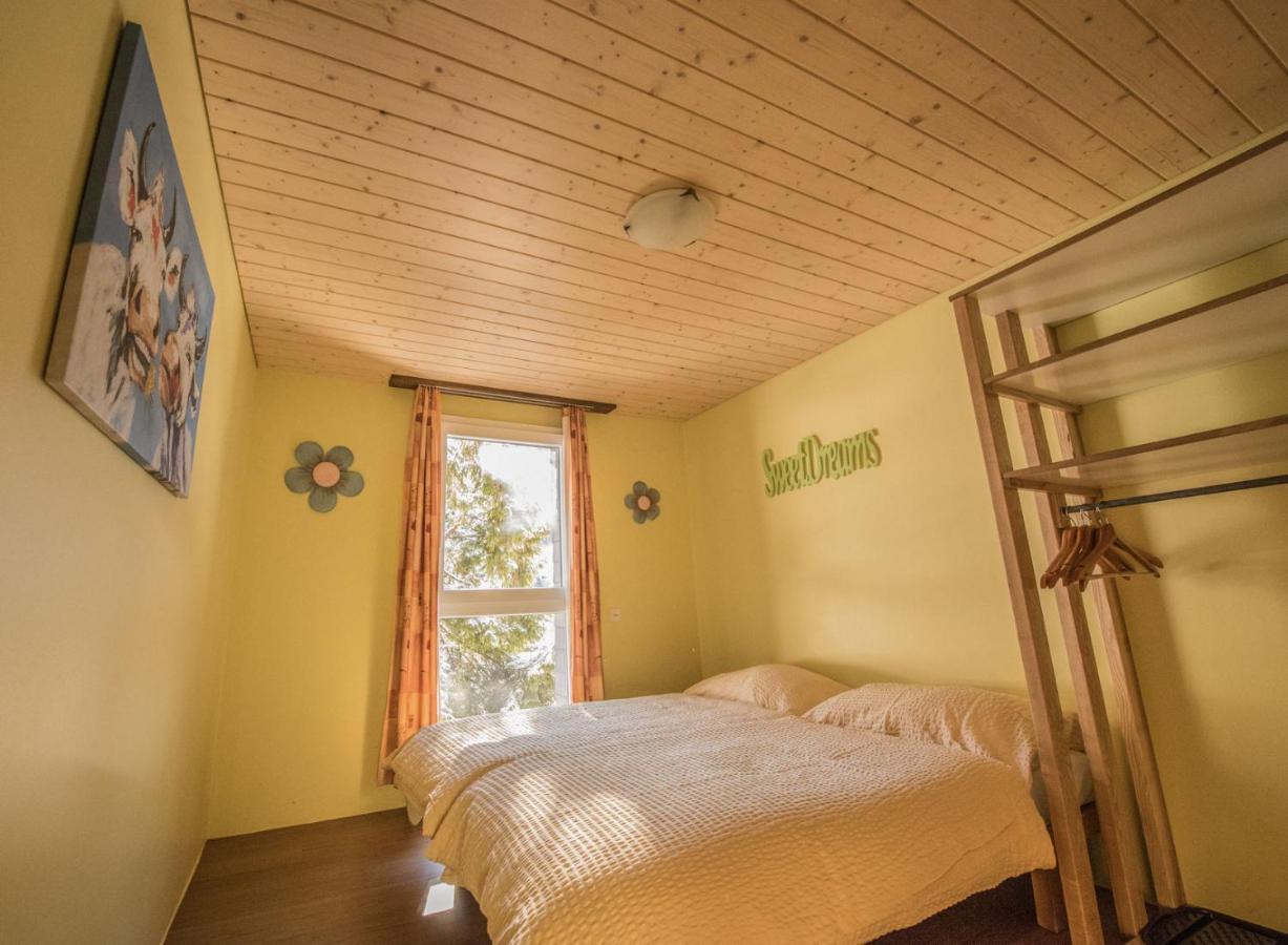 Hostel Schutzenbach Backpackers For Adults 18-35 Lauterbrunnen Exteriér fotografie